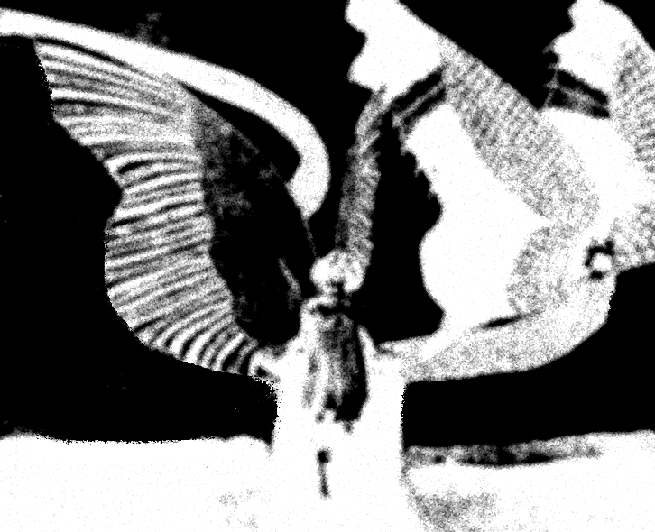 fragment In